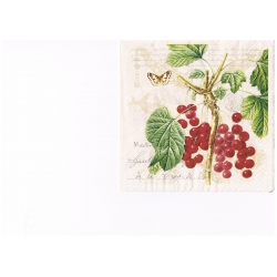 Serwetka -2282-